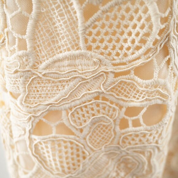 Dress the Population  Avianna Rose Lace Dress | Cream | XS | NWT - Picture 14 of 15
